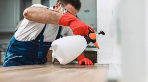 Best Pest Control for Multi-Family Homes  in Duvall, WA